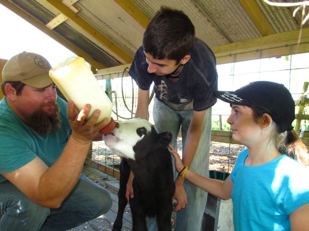 Our first calf: Leita — March 2016