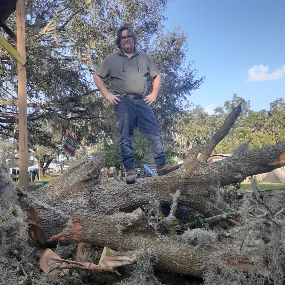 Man vs. tree — a big limb down